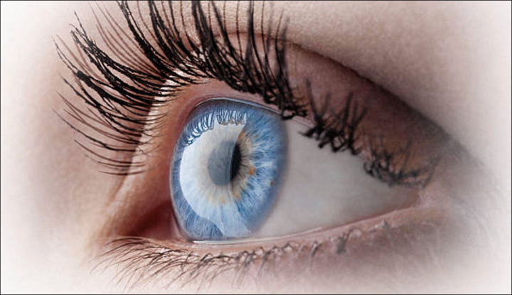 VAXSYS COVID-19 Vaccination Registration & Tracking - VAXSYS Technologies VAXSYS Technologies